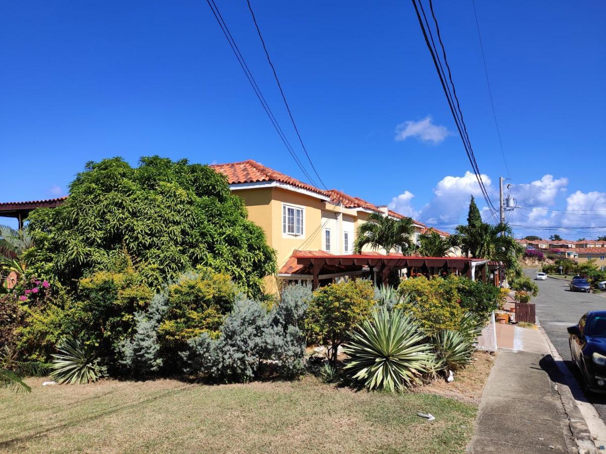 Montego Bay Garden Studio Dış mekan fotoğraf